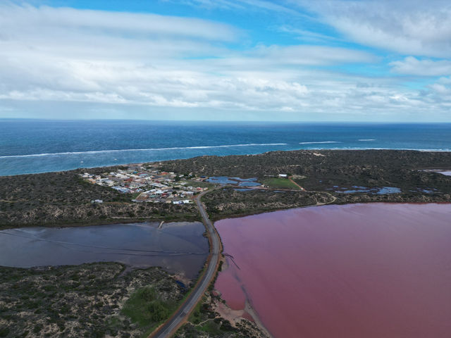 澳洲 Hutt Lagoon 粉紅湖:夢幻湖泊的空中饗宴 澳洲 Hutt Lagoon 粉紅湖:夢幻湖泊的空中饗宴