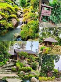 Discover Botanical Wonders🌱Japanese Style Village
