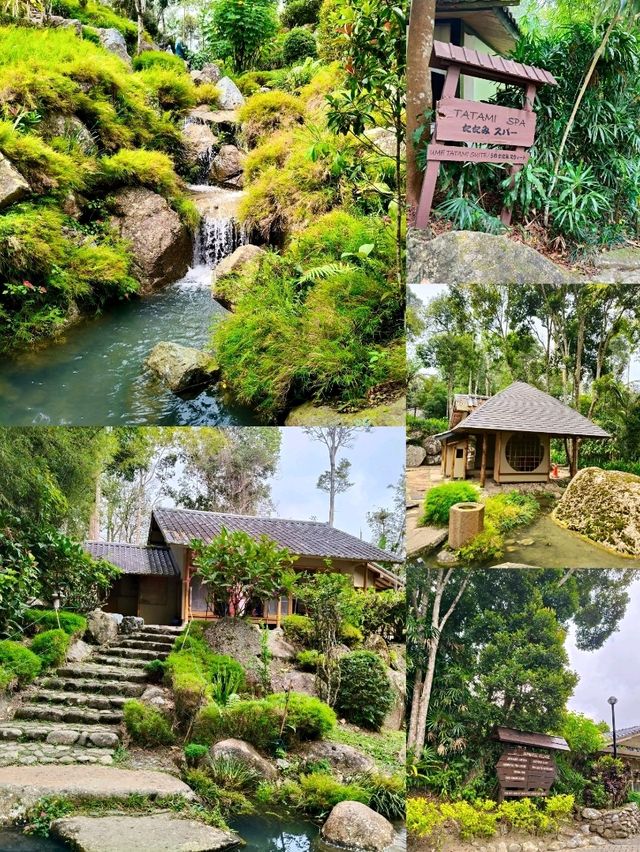 Discover Botanical Wonders🌱Japanese Style Village