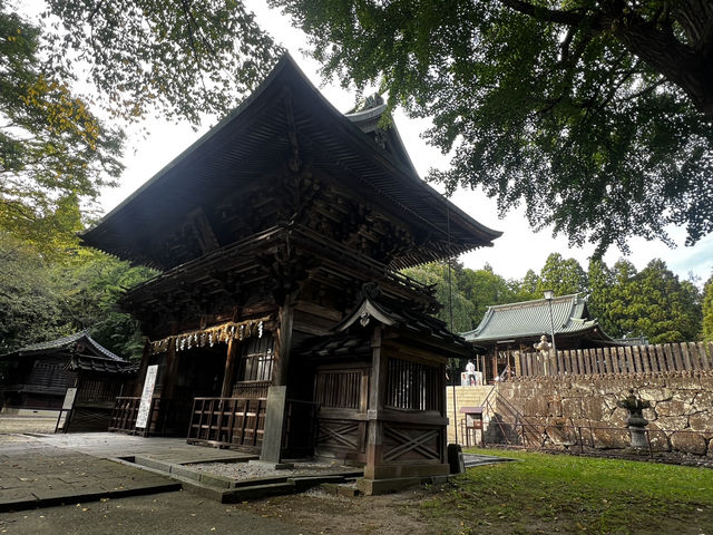 仙台東照宮｜徳川家康を祀る、歴史と桜と絶景の社