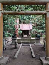 THE HOKKAIDO SHRINE.