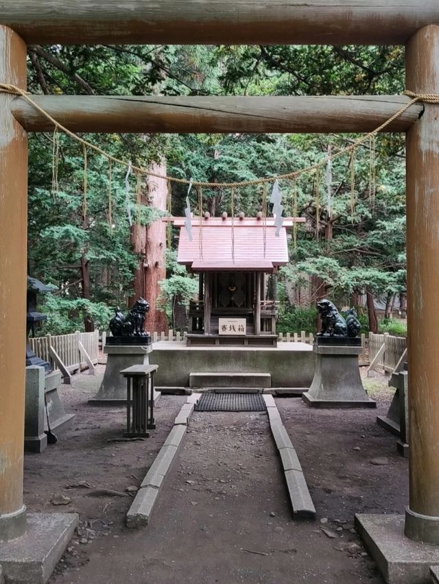 THE HOKKAIDO SHRINE.