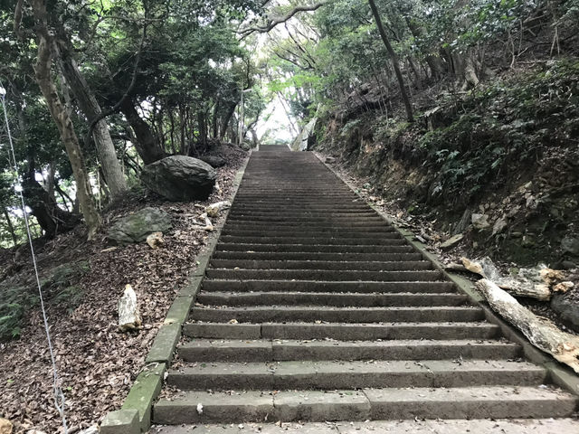 【対馬】海神神社で感じる神話の息吹と海の祈り🌊