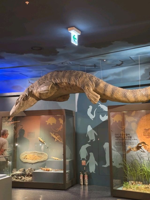 🐳 바다 생물의 거대한 세계, 고래 전시