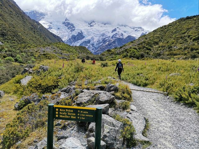 🇳🇿 New Zealand Road Trip - เล่าเรื่องด้วยภาพ#15