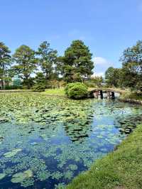 🌿 Weekend Stroll in Tsuyama: Shurakuen Garden