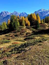 mountain hut