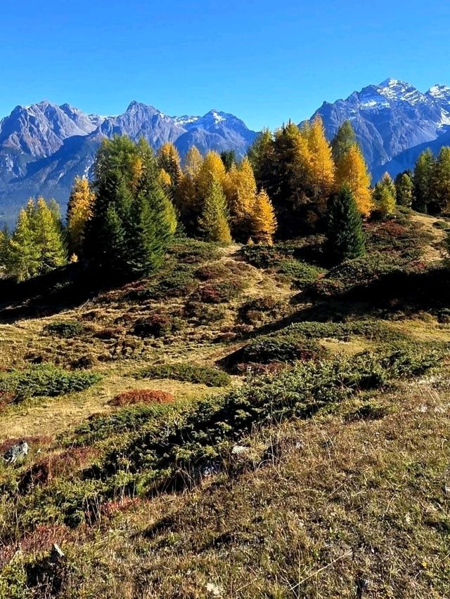 mountain hut