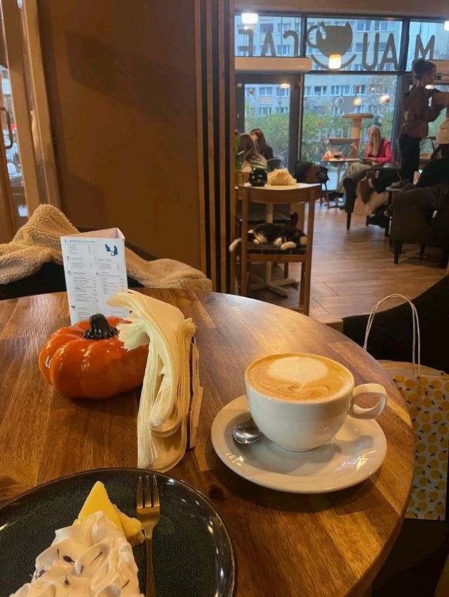 Miau Cafe | 바르샤바, 폴란드