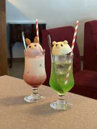10／30オープン！極上のオムライスが食べれるお店"yellow"🍽️