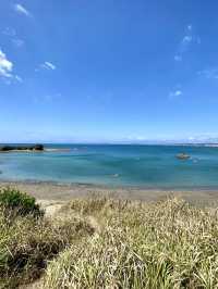 🏍 Muffins by the Sea at Corail Cafe and Labo, Hayama