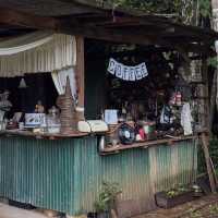 คาเฟ่สไตล์บ้านกลางป่า สุดร่มรื่น จ.เชียงใหม่