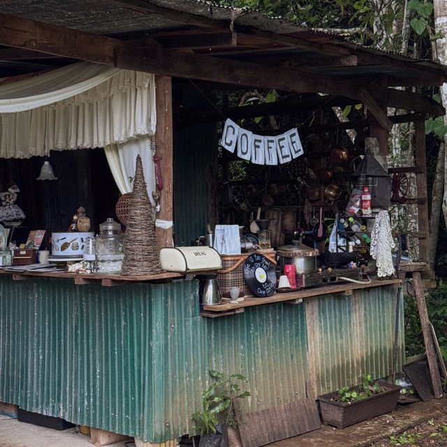 คาเฟ่สไตล์บ้านกลางป่า สุดร่มรื่น จ.เชียงใหม่ คาเฟ่สไตล์บ้านกลางป่า สุดร่มรื่น จ.เชียงใหม่