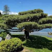 Chicago Botanic Garden – A Verdant Oasis of Beauty and Learning