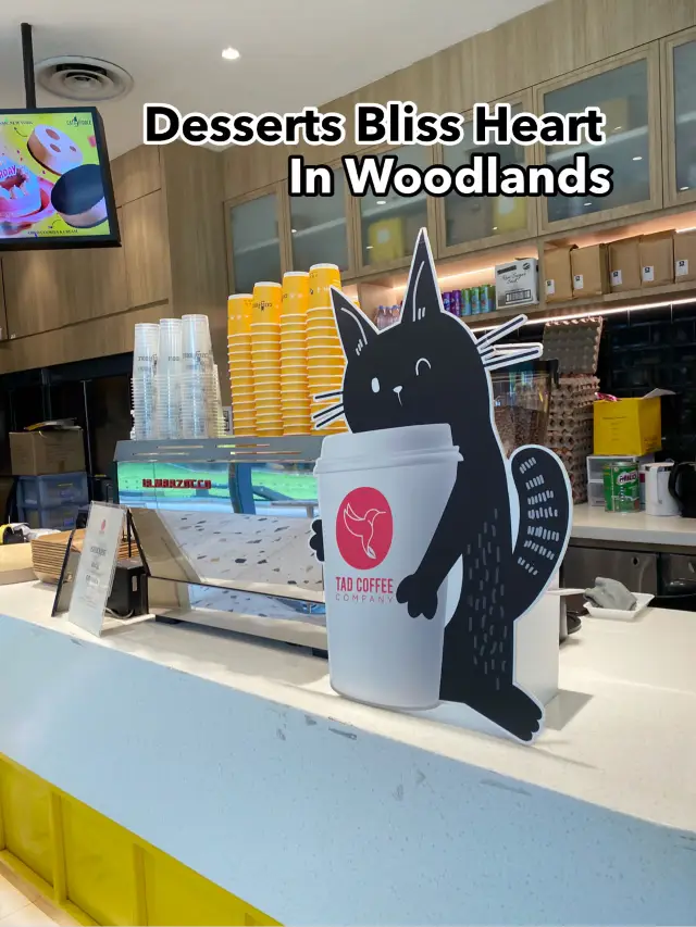 Woodlands Sweet Spot🍦