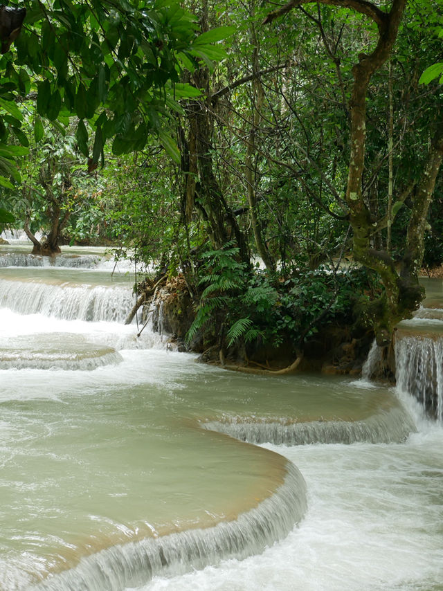 【ラオス🇱🇦】クアンシーの滝