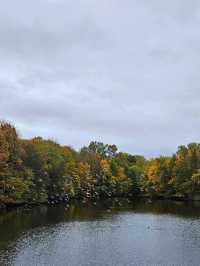 가을에 가면 더 좋은 비겔란공원