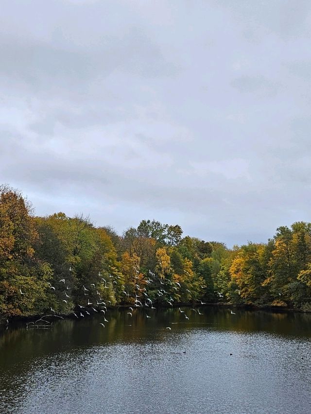 가을에 가면 더 좋은 비겔란공원