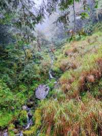 見晴懷古步道森林漫遊體驗🌳