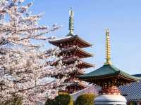 🗼 Tokyo Hotspots: The Ultimate 3-Day Itinerary! 🚄🍜