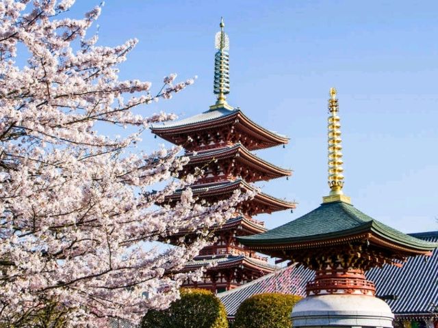 🗼 Tokyo Hotspots: The Ultimate 3-Day Itinerary! 🚄🍜