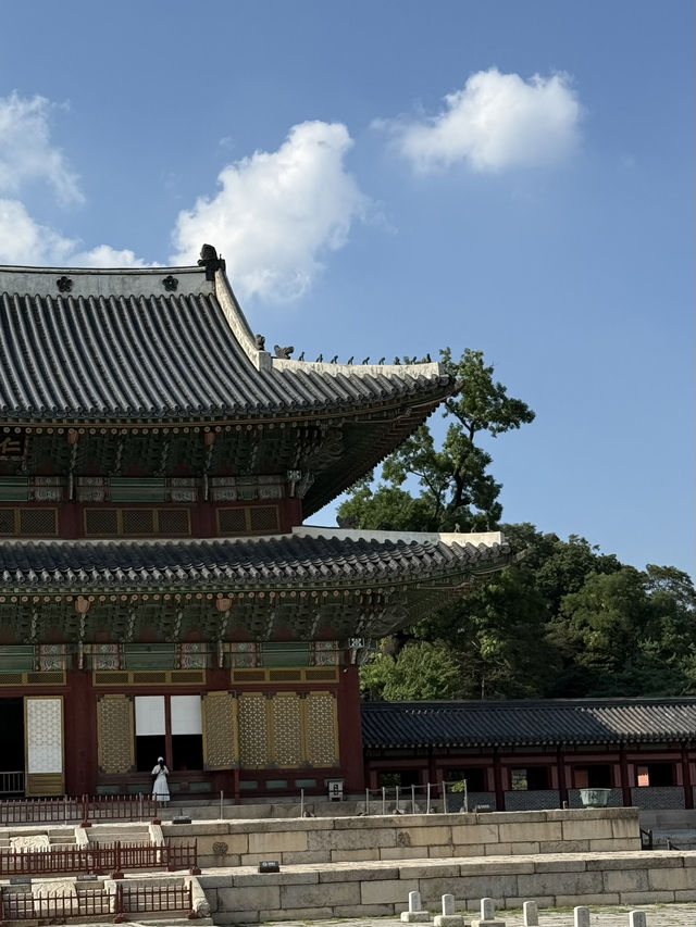 Changgyeonggung Palace — where Seoul feels different 🤍