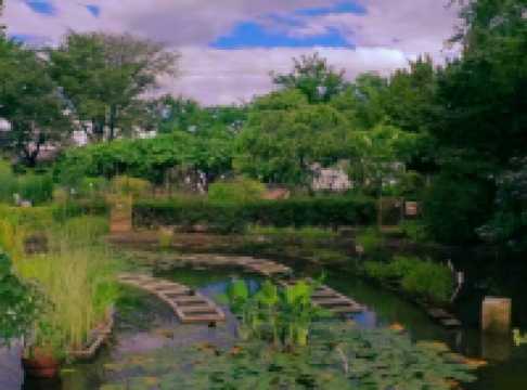 Discovering Nature’s Pharmacy at Tokyo Medicinal Plant Garden 🌿