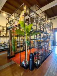 Siam Museum 深解暹羅