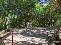 The Bright Fuzhou Shan Park in Da'an District, Taipei City, Taiwan