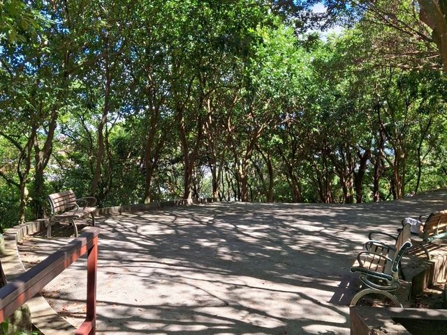 The Bright Fuzhou Shan Park in Da'an District, Taipei City, Taiwan The Bright Fuzhou Shan Park in Da'an District, Taipei City, Taiwan