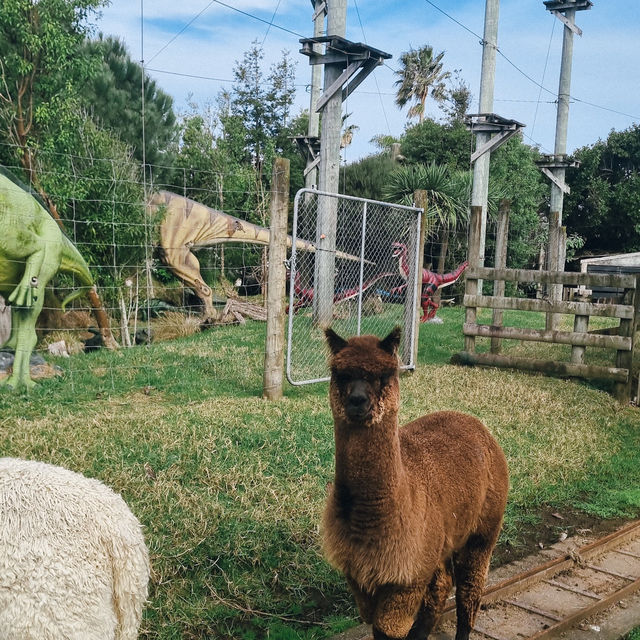 เที่ยว Butterfly Creek มุมธรรมชาติในโอ๊คแลนด์ เที่ยว Butterfly Creek มุมธรรมชาติในโอ๊คแลนด์