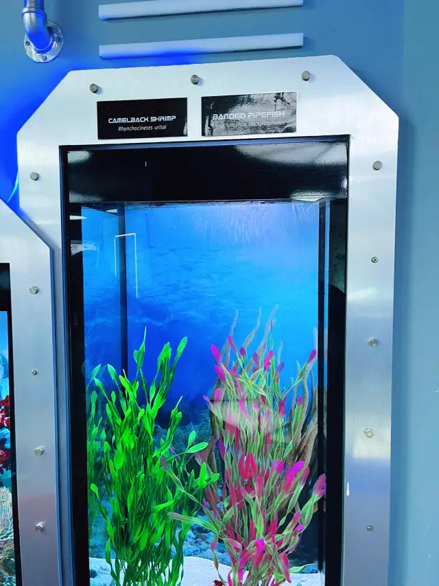 Aquaria KLCC: A Must-Visit for Marine Life Enthusiasts