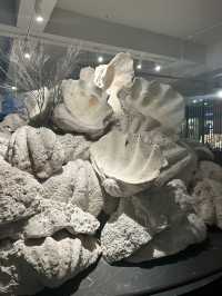 Where Phu Quoc’s Ocean Creates Its Treasures