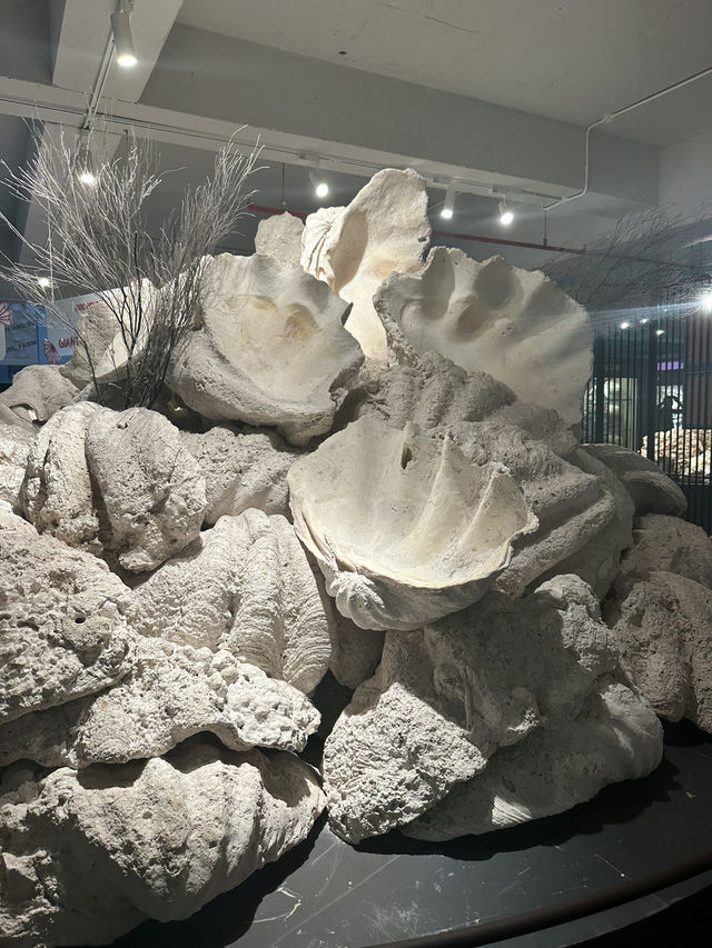 Where Phu Quoc’s Ocean Creates Its Treasures Where Phu Quoc’s Ocean Creates Its Treasures