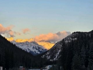 エドワージーパーク