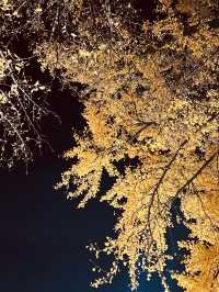 The Photogenic Heart of the Hanok Village