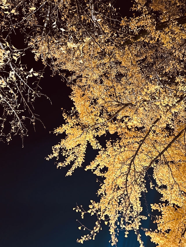 The Photogenic Heart of the Hanok Village The Photogenic Heart of the Hanok Village