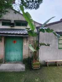 Urban Vibes & Vintage Feels 🌆✨