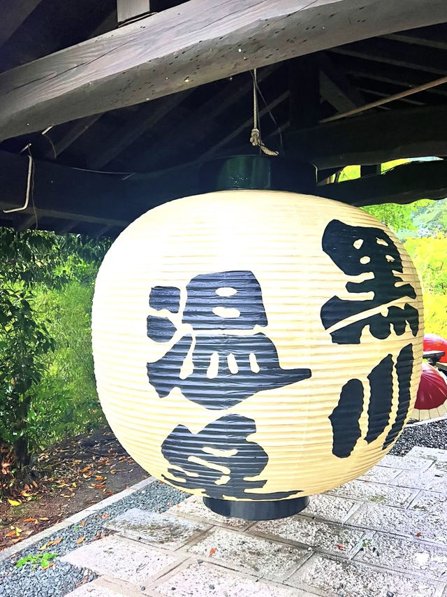 🏯❄️心も体も満たされる！最高の冬の熊本旅レポート！🥩♨️