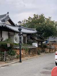 ์ ์ฃผ ์ฌํ ํต์ฌ ์ฝ์ฝ ๐ค ์์ ๋ง์ง ์นดํ ์ถ์ฒ