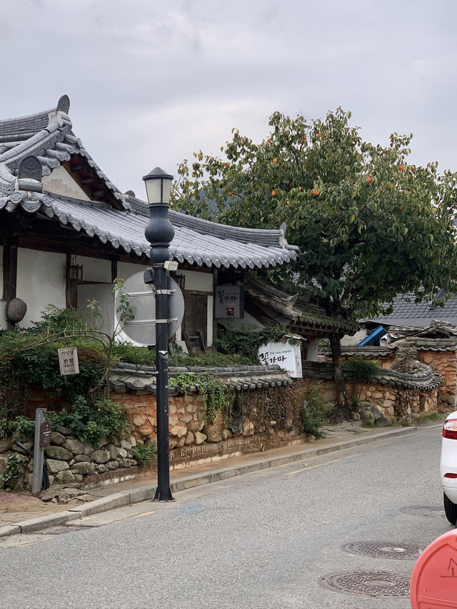 ์ ์ฃผ ์ฌํ ํต์ฌ ์ฝ์ฝ ๐ค ์์ ๋ง์ง ์นดํ ์ถ์ฒ ์ ์ฃผ ์ฌํ ํต์ฌ ์ฝ์ฝ ๐ค ์์ ๋ง์ง ์นดํ ์ถ์ฒ