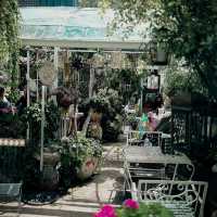 Garden Light & Gentle Rituals