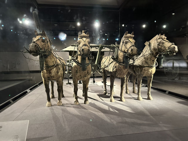 Exhibit Magic Xi'an🏛️ Exhibit Magic Xi'an🏛️