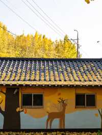 ๊ฒฝ์ฃผ ๋๋ฆฌ๋ง์ ์ํ๋๋ฌด ์ฒ