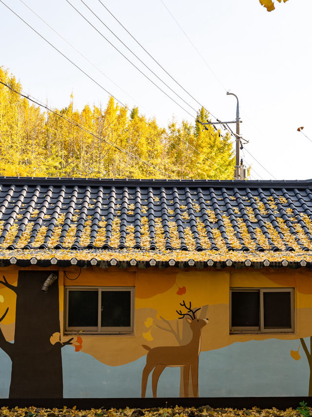 ๊ฒฝ์ฃผ ๋๋ฆฌ๋ง์ ์ํ๋๋ฌด ์ฒ ๊ฒฝ์ฃผ ๋๋ฆฌ๋ง์ ์ํ๋๋ฌด ์ฒ