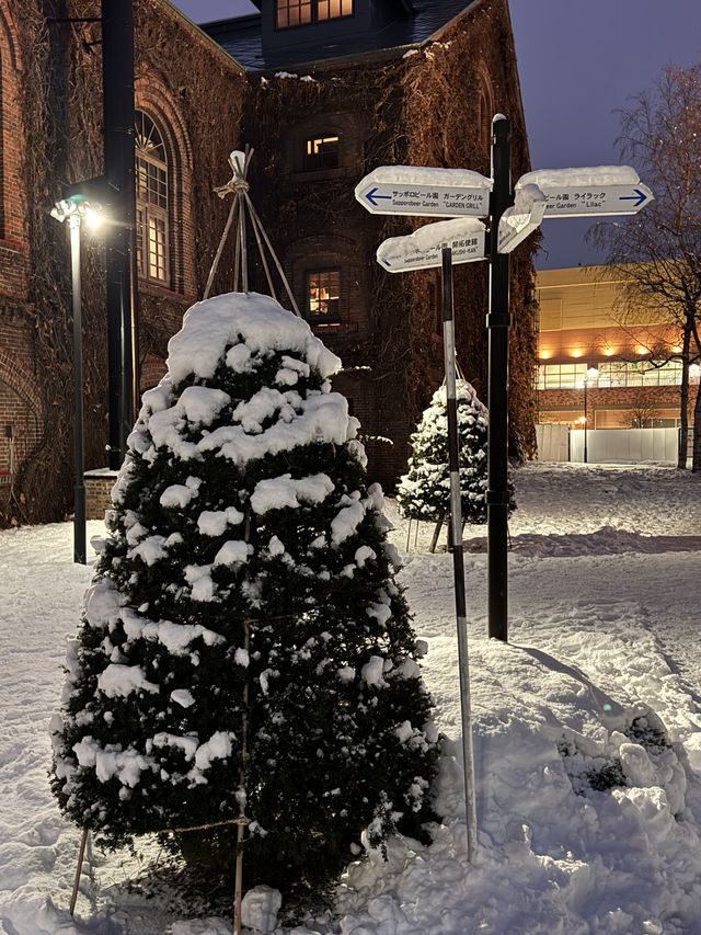 用雙眼、雙腳走進北海道的雪白世界裡