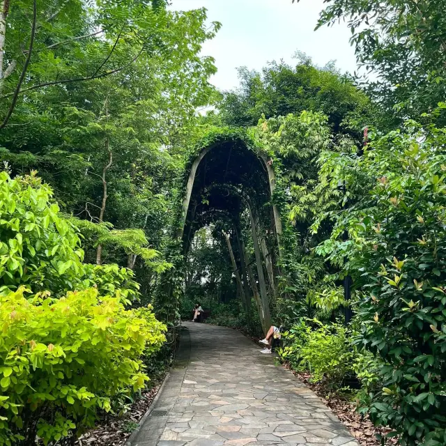 新加坡預算指南：新加坡最佳免費景點之一