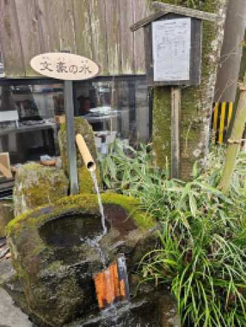 《阿蘇宮地湧泉水巡禮，每一口水都幸福》