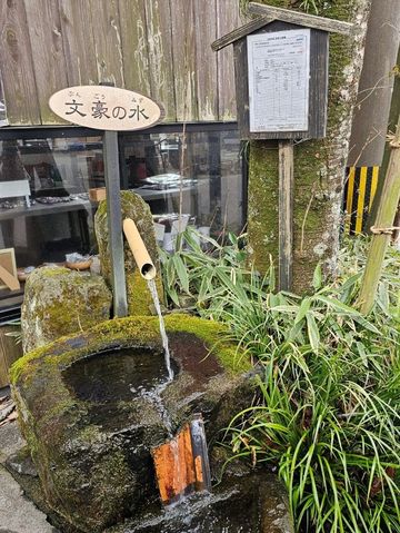 《阿蘇宮地湧泉水巡禮，每一口水都幸福》