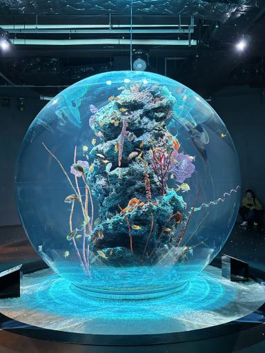 神秘の水族アート🎨！神戸の新感覚アクアリウムで遊んじゃおう